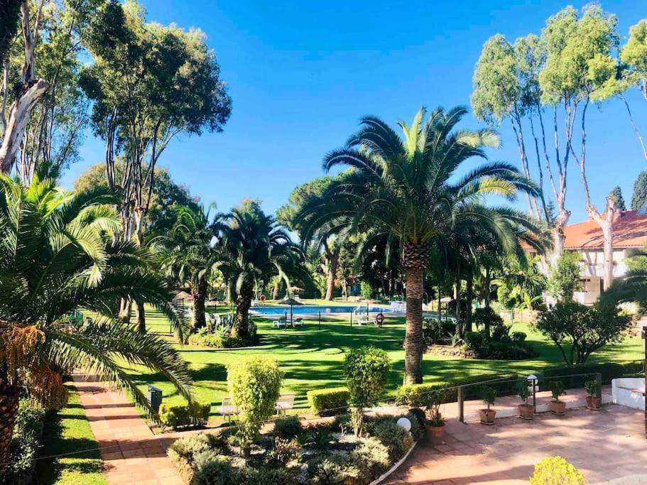 Puerto Banus Eddie Suite Marbella Esterno foto